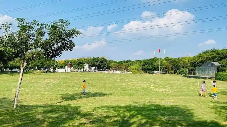 广州的春天去哪玩番禺区思源童趣亲子农庄亲近自然萌宠互动