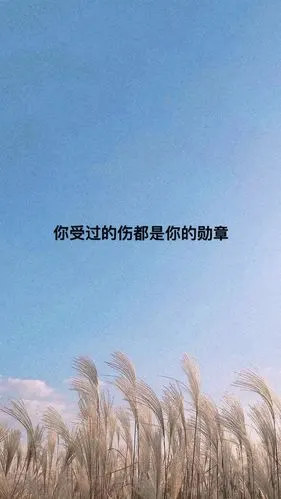 自制 壁纸 背景 文字 禁止加水印修改