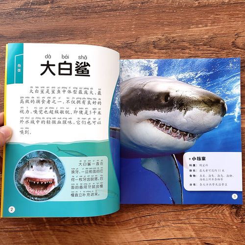 幼儿绘本海底世界大海里的动物世界儿童图书 海底动物书海洋动物百科