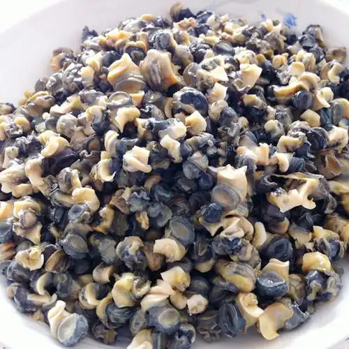 产地直销 特种水产养殖 新鲜田螺肉 原生态仿野生养殖