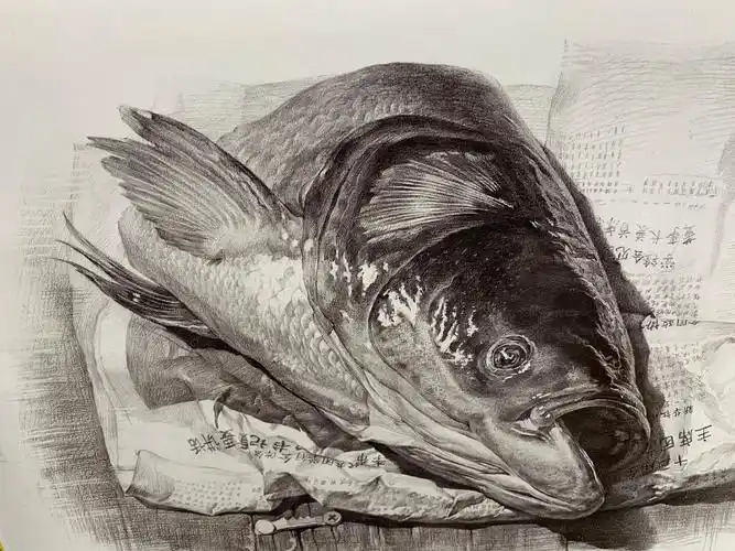 超写实素描鱼头