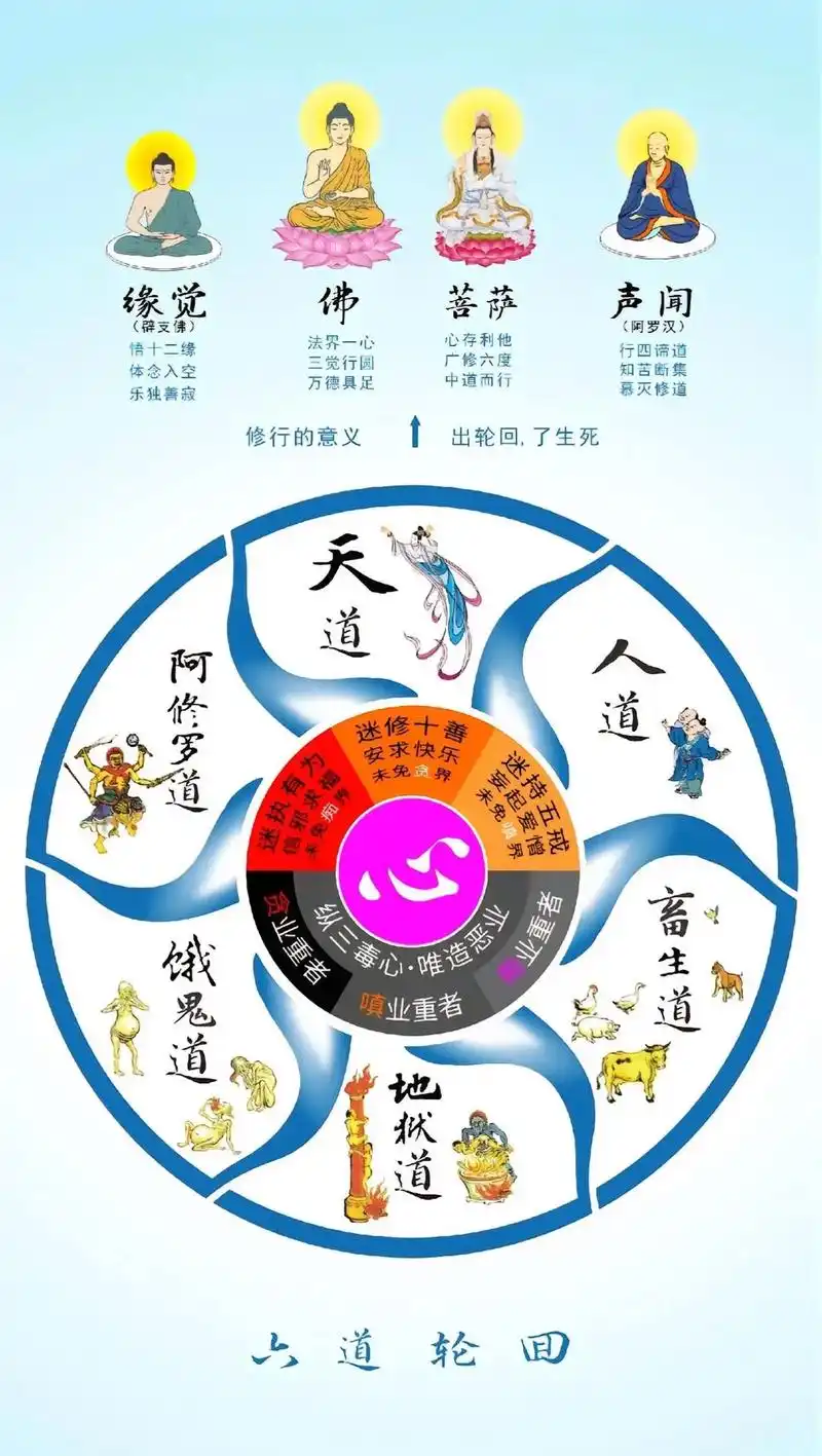六道轮回,也称之为"苦轮",明了苦轮之苦,方能生出离心,方能 - 抖音