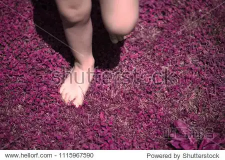 barefoot toddler child running on pink and purple flower field