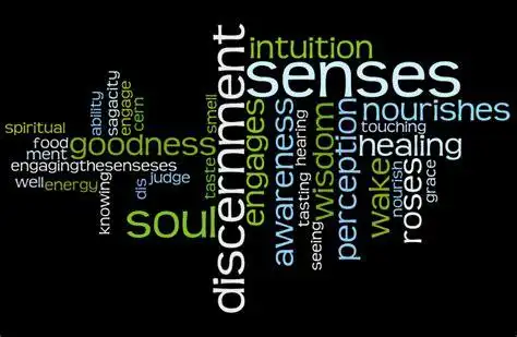 discernmentdiscernment和insight2022已更新今日更新