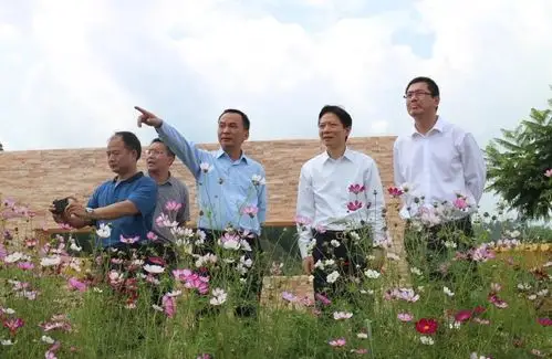 坚持标本兼治  强化整改落实 ——大姚县高标准严要求推进"美丽县城"