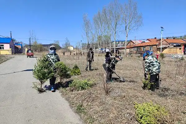 哈达镇:优化人居环境 扮靓城乡"颜值"-鸡东新闻网-东北网