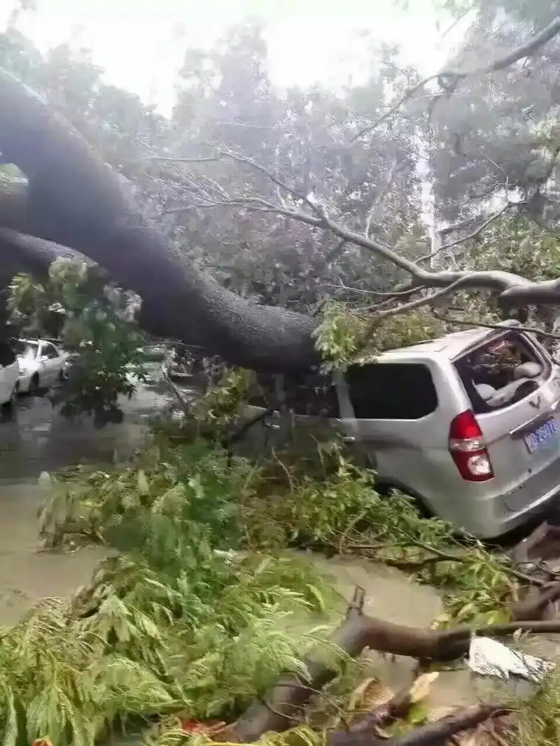 2016年的台风 - 抖音