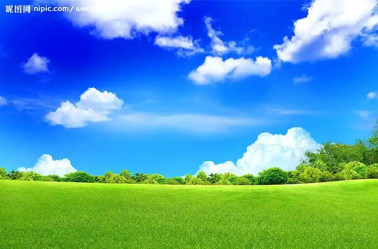 绿草地蓝天空图片