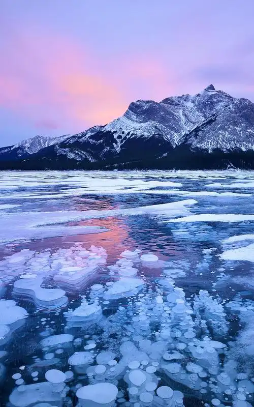 1600_2560竖版 竖屏