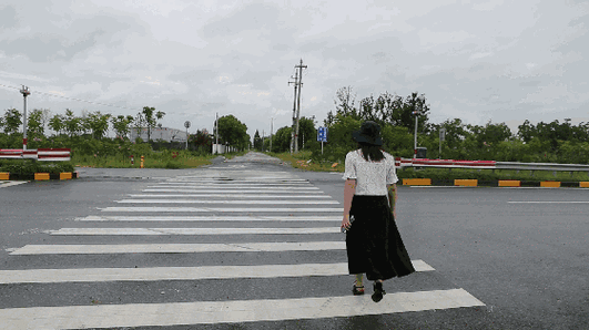 马路交通过马路行走行人斑马线gif动图_动态图_表情包下载_soogif