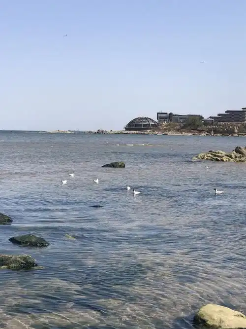 2019鸽子窝公园_旅游攻略_门票_地址_游记点评,北戴河旅游景点推荐