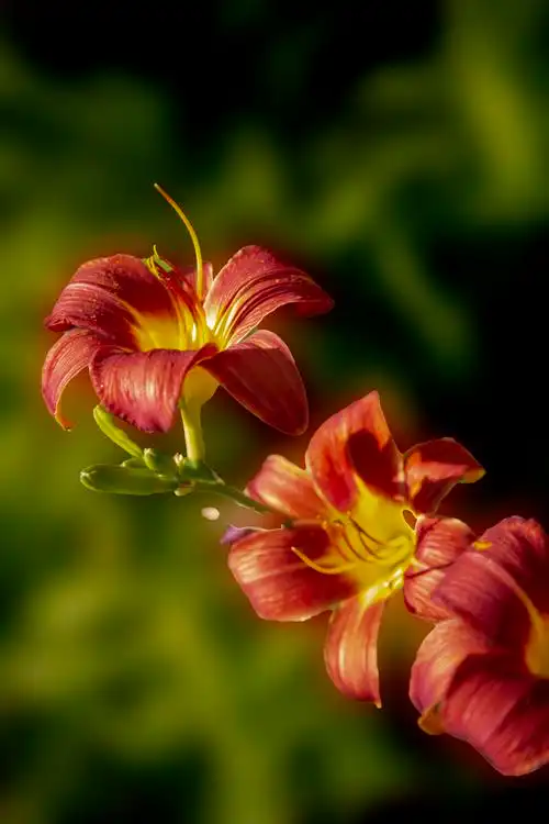 3840_5760竖版 竖屏