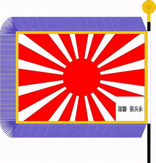 旭日旗就是二战日军军旗?太阳旗就不是?你可能真不了解|军舰_网易订阅