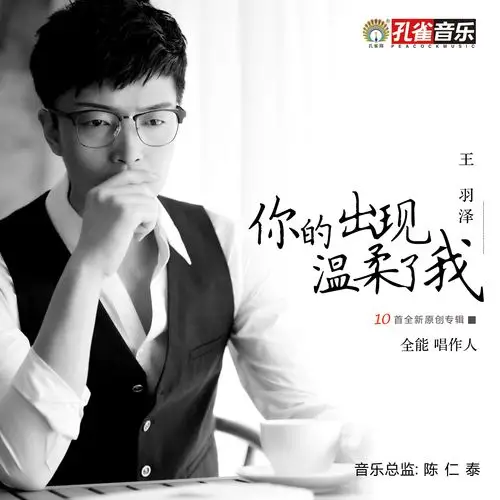 簪上情_王羽泽,韩旭_高音质在线试听_簪上情歌词|歌曲下载_酷狗音乐