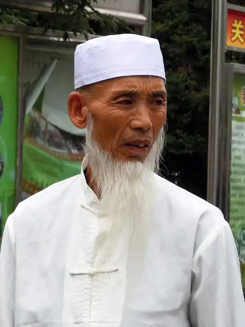 回族人物 - 牵手时光 - wzl082415的博客