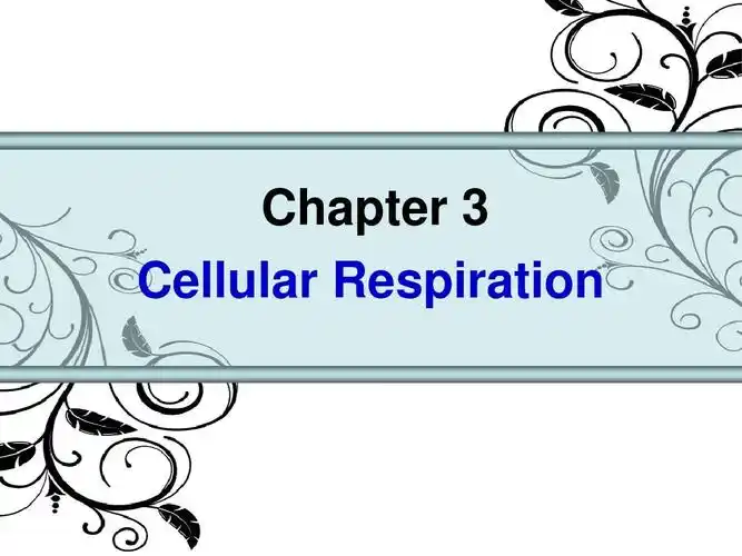 ap chapter 3 cell respirationppt