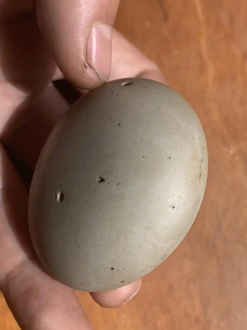 朗斯代尔陨石金刚石 当然,我这只是推测,因为没有去做过权威机构的