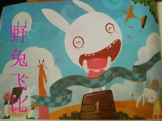 野兔飞比.ppt_第1页