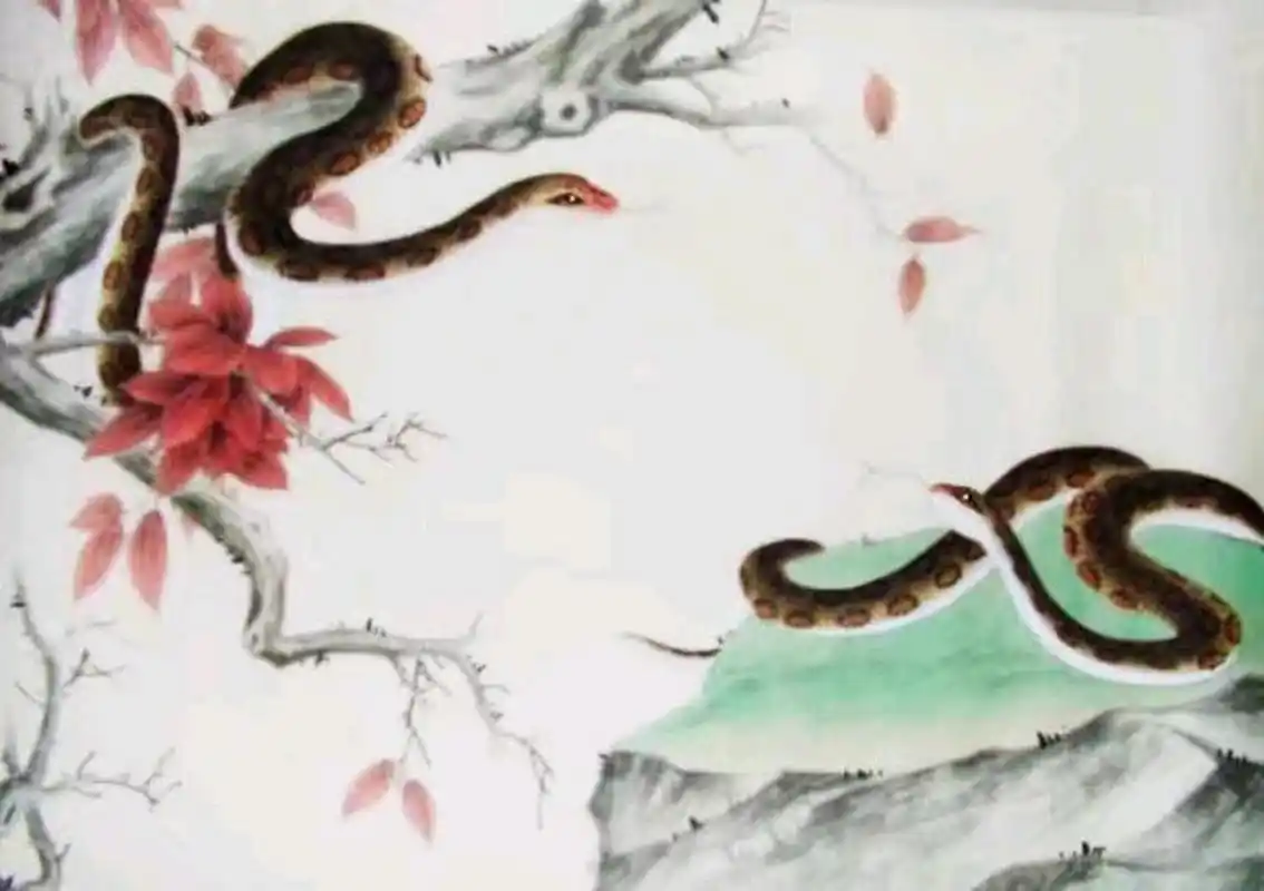 1965年出世的属蛇人的后半生:命里藏贵气,属蛇人从小当家早,不依赖,不