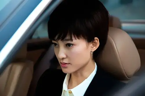 《爱的多米诺》王丽坤剧照