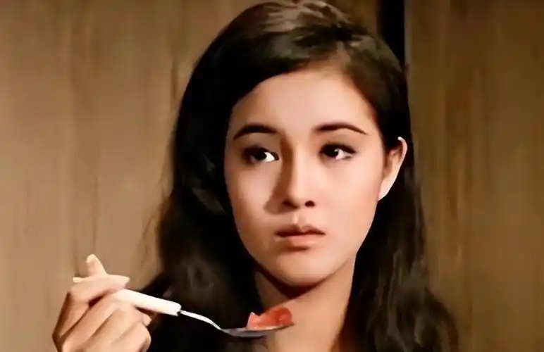 回顾何莉莉遭遇背叛却不曾离婚丈夫死后她的报复令小三苦不堪言