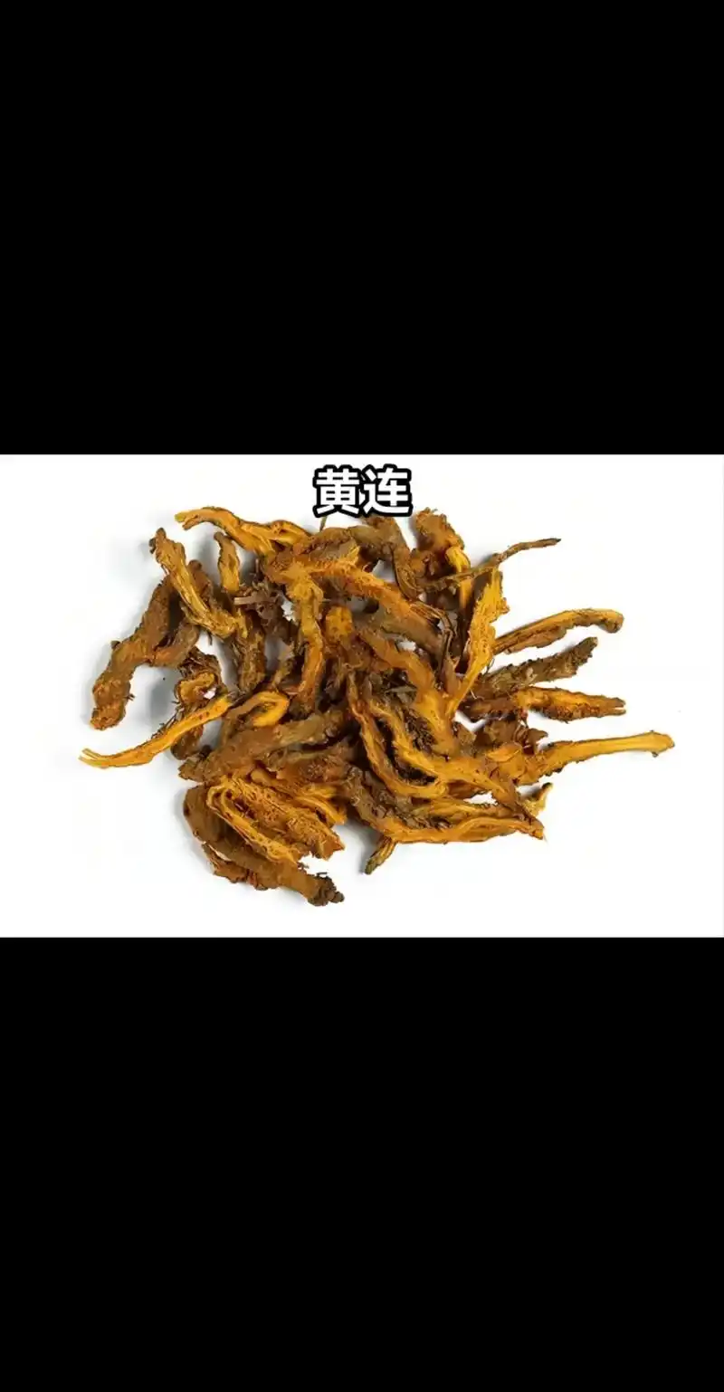 黄连也是经方家常常使用的,当然温病派也会用黄莲.黄连, - 抖音
