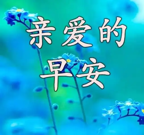 对亲爱的说早安心语(适合对爱人说的早安心语)