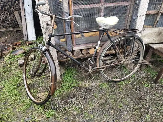 比我岁数还大的,28自行车.帮我学会了自行车,陪着我读完了三年中学.