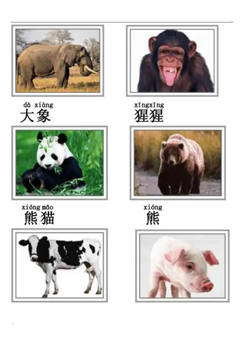 动物类图片及名称doc6页
