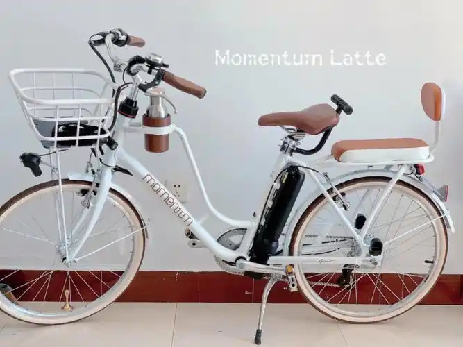 momentum latte捷安特电助力骑行感受
