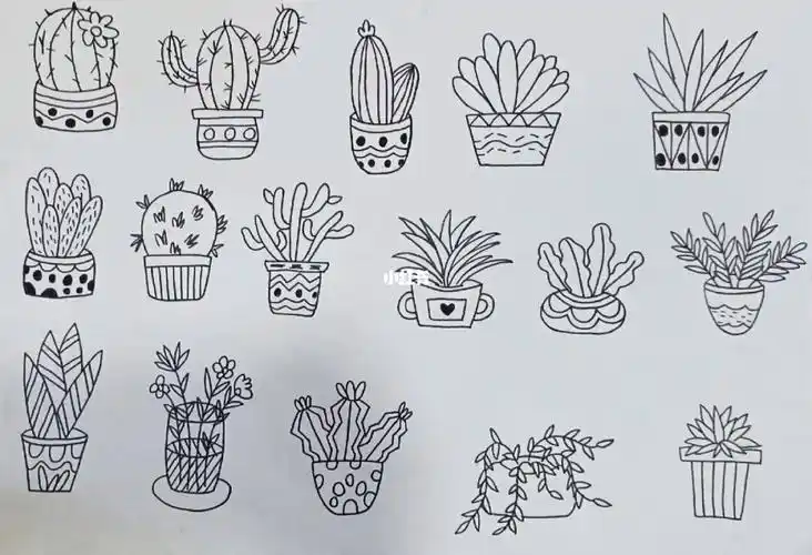 简笔画盆栽