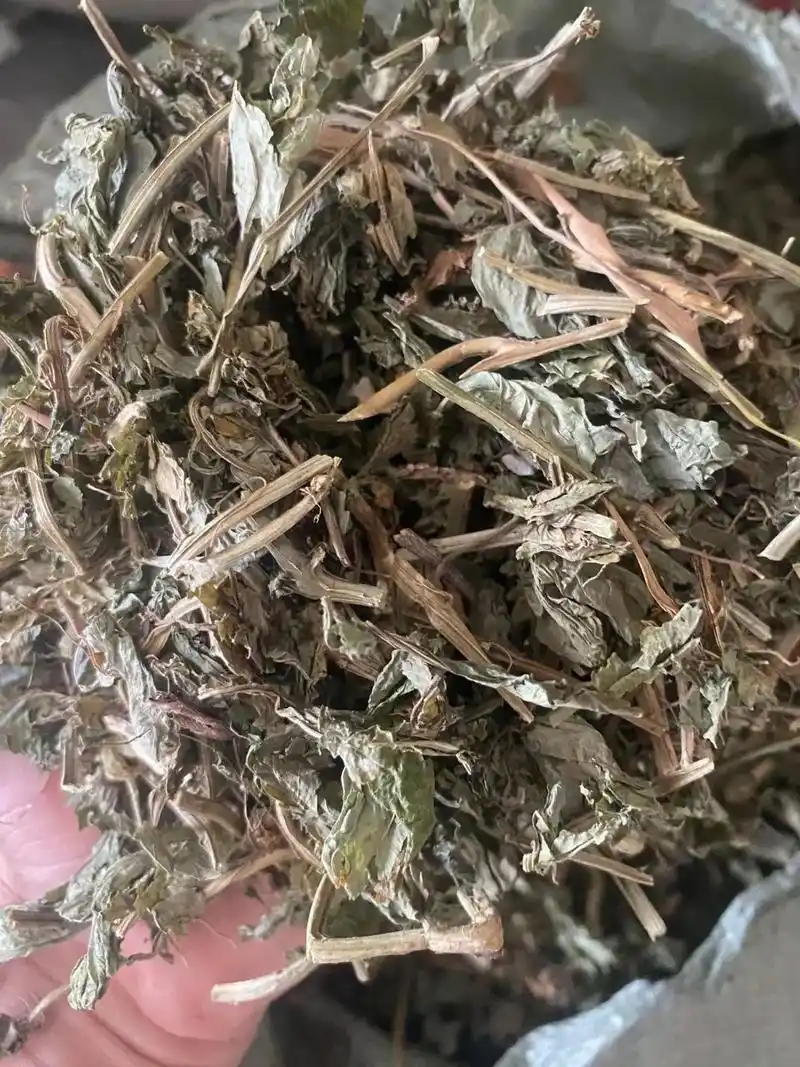 特大灵香草,早安香料人.特价9229.3每公斤,灵香草段大叶 - 抖音