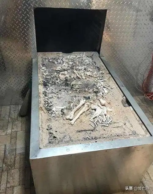 人体火葬后的尸油是怎么处理的_火葬场火化遗体尸油_火葬场火化的尸油