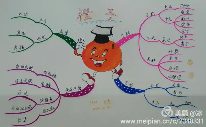 我的思维导图之旅