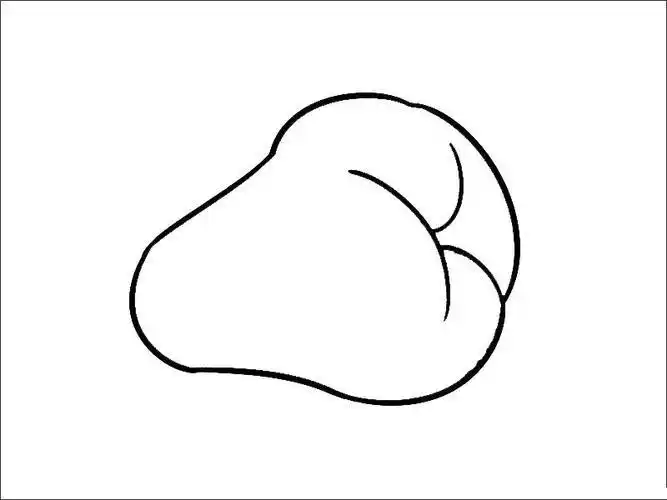 莲雾简笔画所有造型