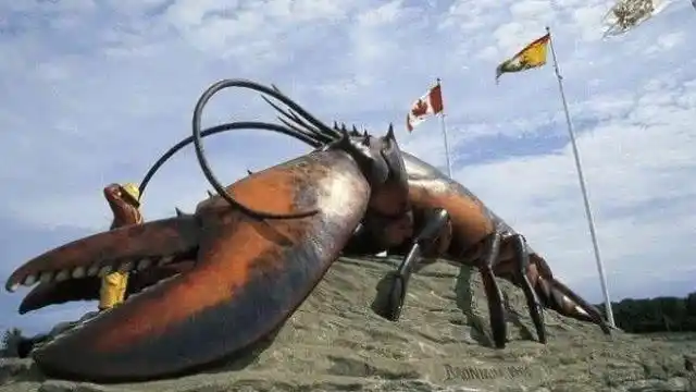 全球最大的龙虾:长1.06米,重达40斤,整整活了一个世纪