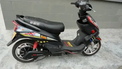 骑了1个多月菲利普电动车