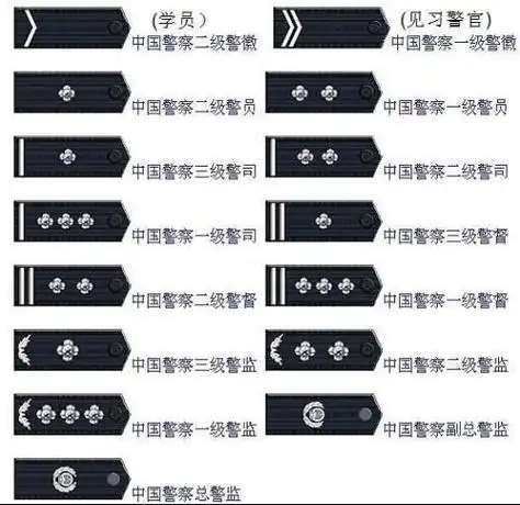 那么何勇和贺芸分别是什么警衔呢?