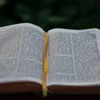 适合做头像的书本图片_微信头像图片大全