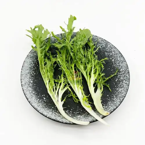 新鲜蔬菜即食青绿狗牙九芽菊苣生菜西餐轻食其它
