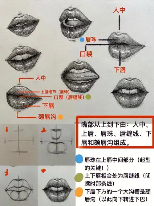 73人体结构06嘴巴画法详解