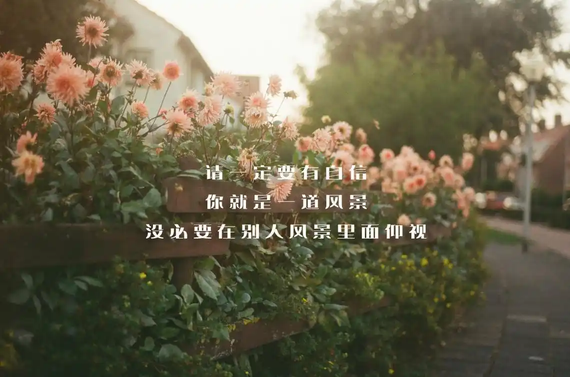 关于自信的文字图片