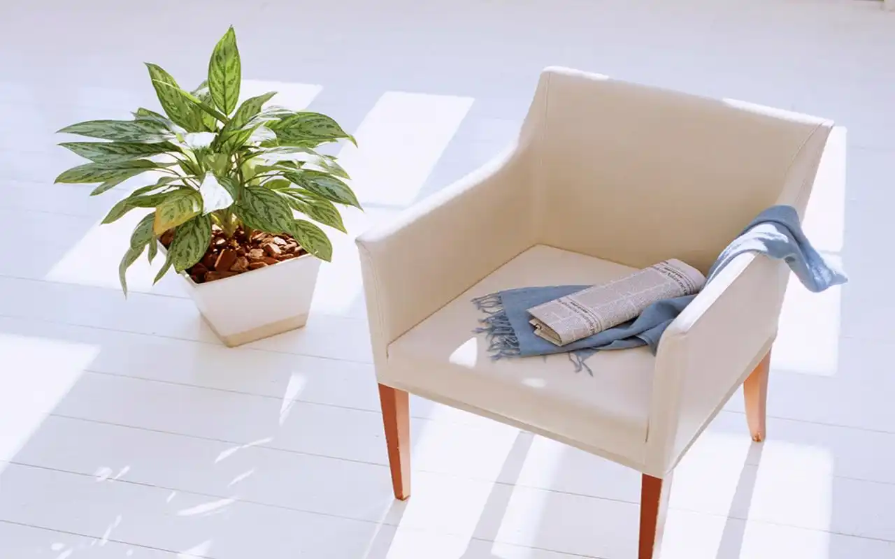 简约精致的小清新花卉图片桌面壁纸