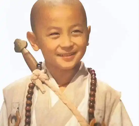 释小龙何洁分手11年后一个身家过亿一个捉襟见肘