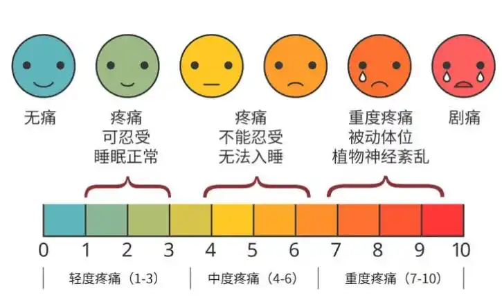 疼痛的评分及评价