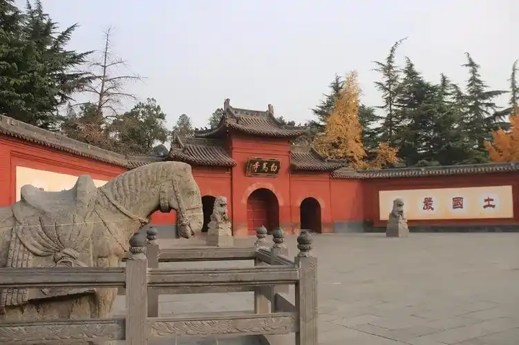 王一博家在洛阳涧西区哪里(详解王一博的家乡古都)