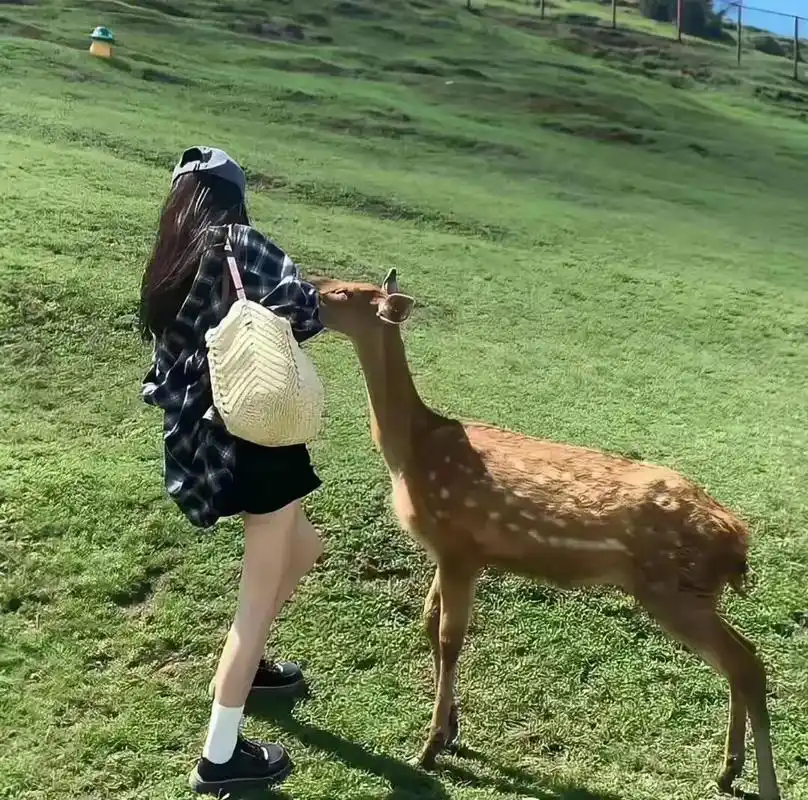 氛围感拉满#氛围感拉满的头像 #该换头像啦 #氛围感 #真人 - 抖音