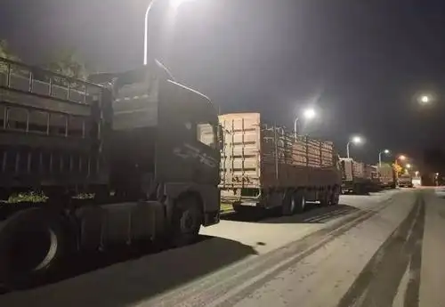 蹊跷!货车司机夜晚拉了一车树苗,结果车子怎么也走不动