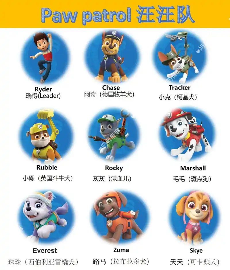 汪汪队英语启蒙 paw patrol 汪汪队 汪汪队一共有八个成员