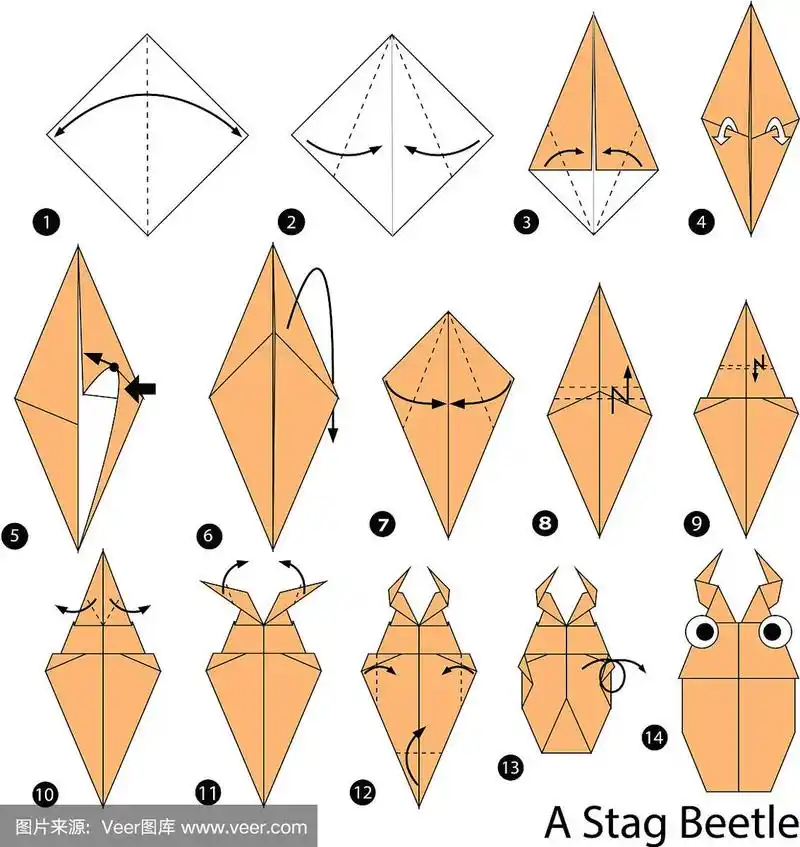 用雄甲虫做折纸